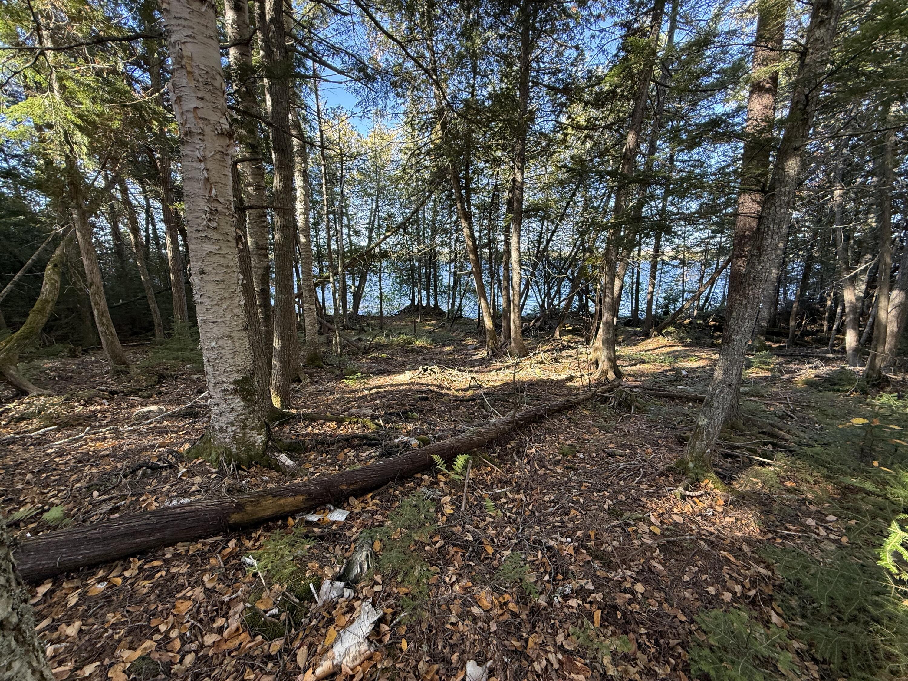 2 East Shore Road Glenwood ME 04497