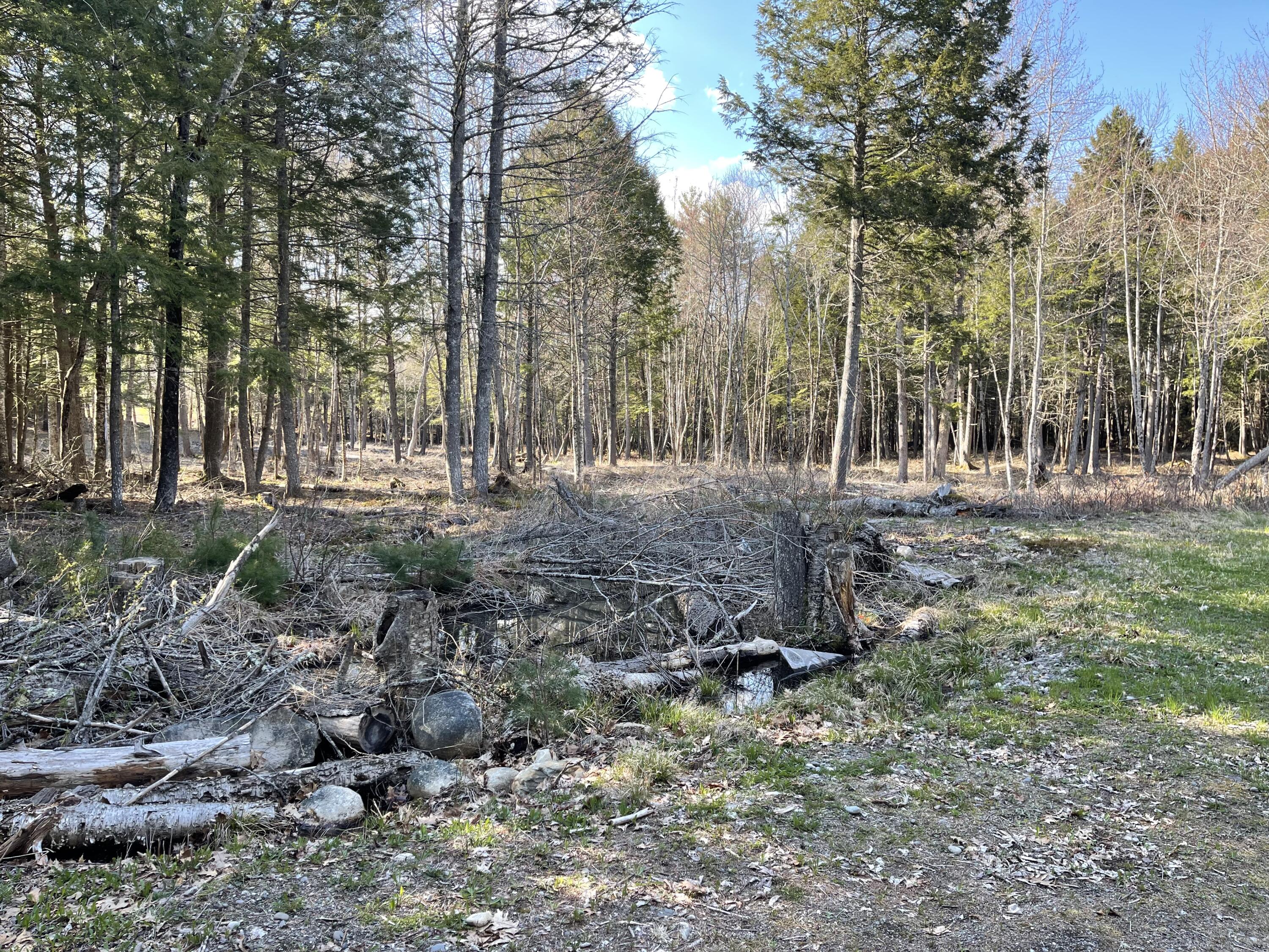 Lot 35-b Corduroy Road Nobleboro ME 04555
