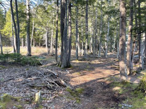 Lot 35-b Corduroy Road Nobleboro ME 04555