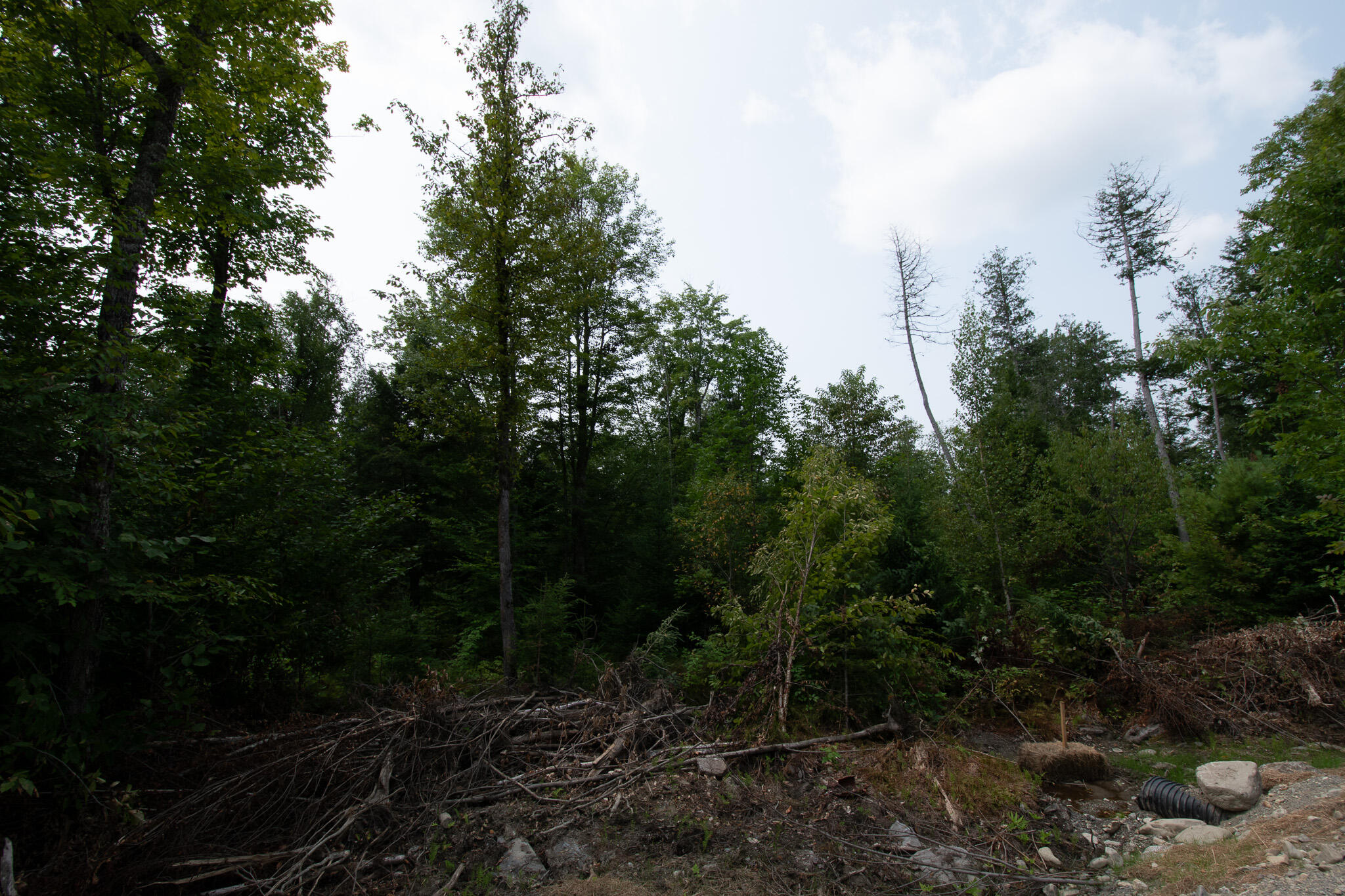LOT2 Bear Brook Subdivision Sebec ME 04481
