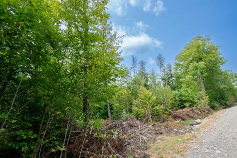 LOT2 Bear Brook Subdivision Sebec ME 04481