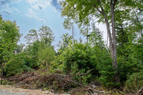 LOT2 Bear Brook Subdivision Sebec ME 04481