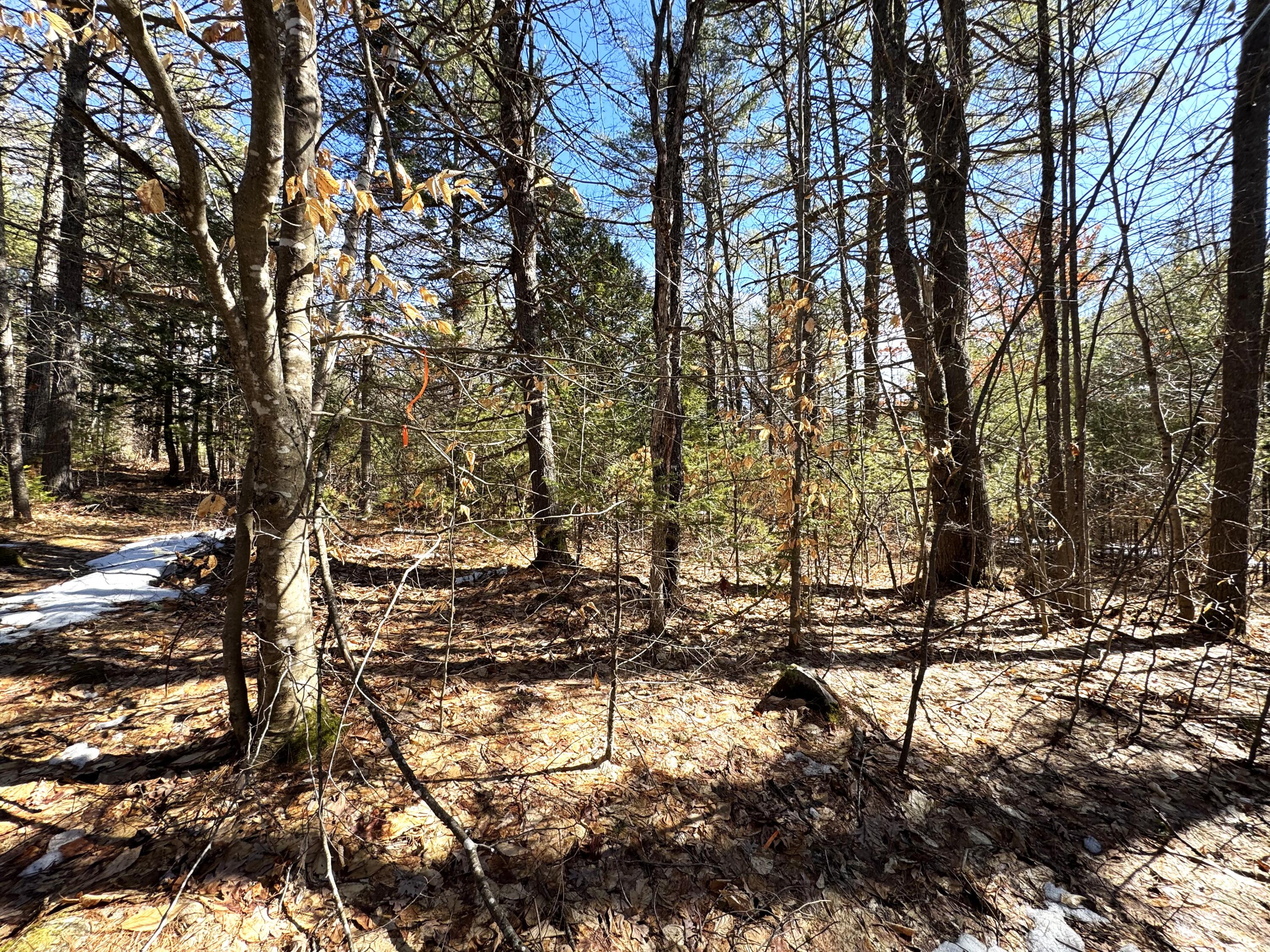 Lot 5 Lords Hill Road Brownfield ME 04010
