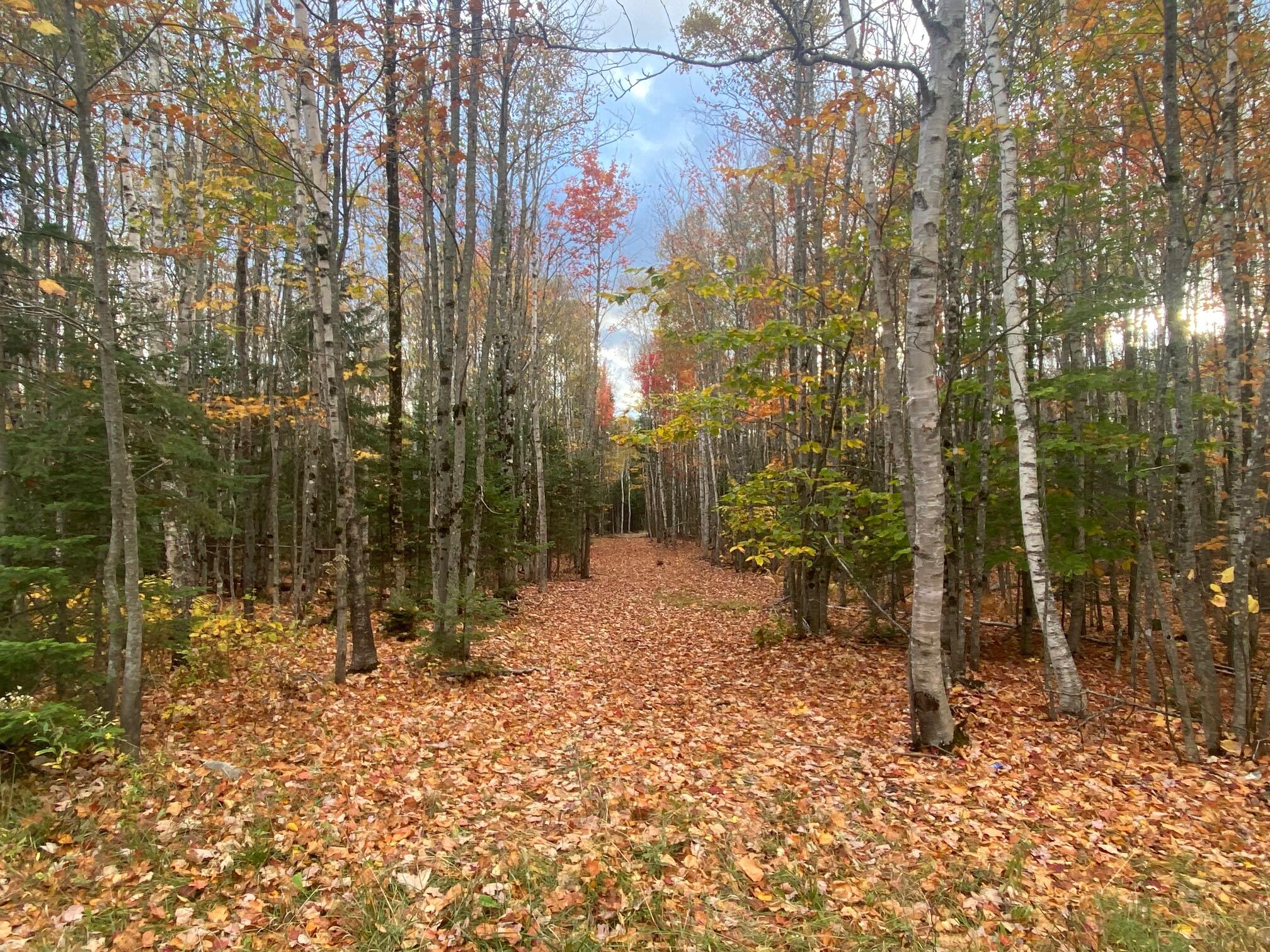 Greenville ME, 5-7A East Road