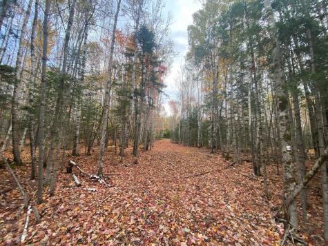 5-7A East Road Greenville ME 04441