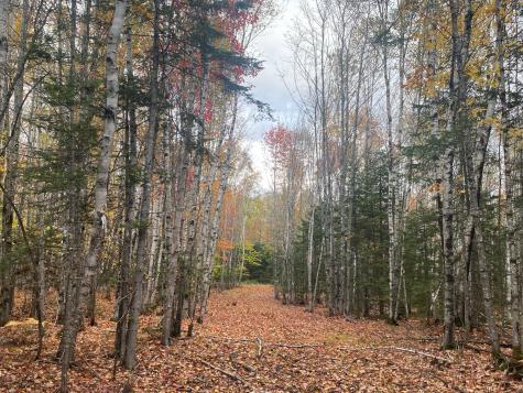 5-7A East Road Greenville ME 04441