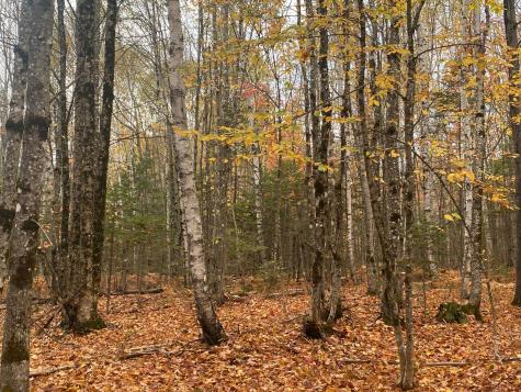 5-7A East Road Greenville ME 04441