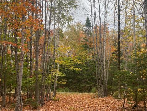 5-7A East Road Greenville ME 04441