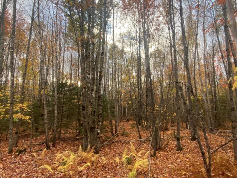 5-7A East Road Greenville ME 04441