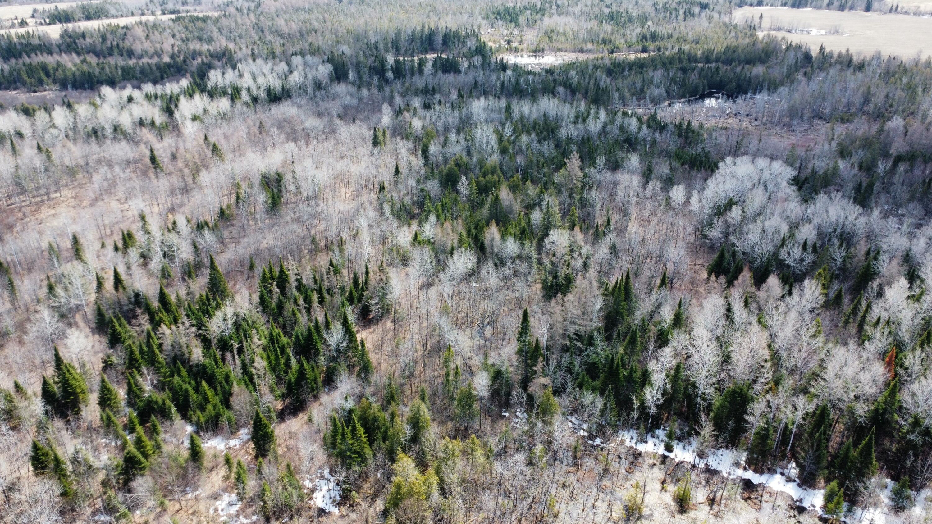 MAP6 Lot31 Mountain Road Blaine ME 04734