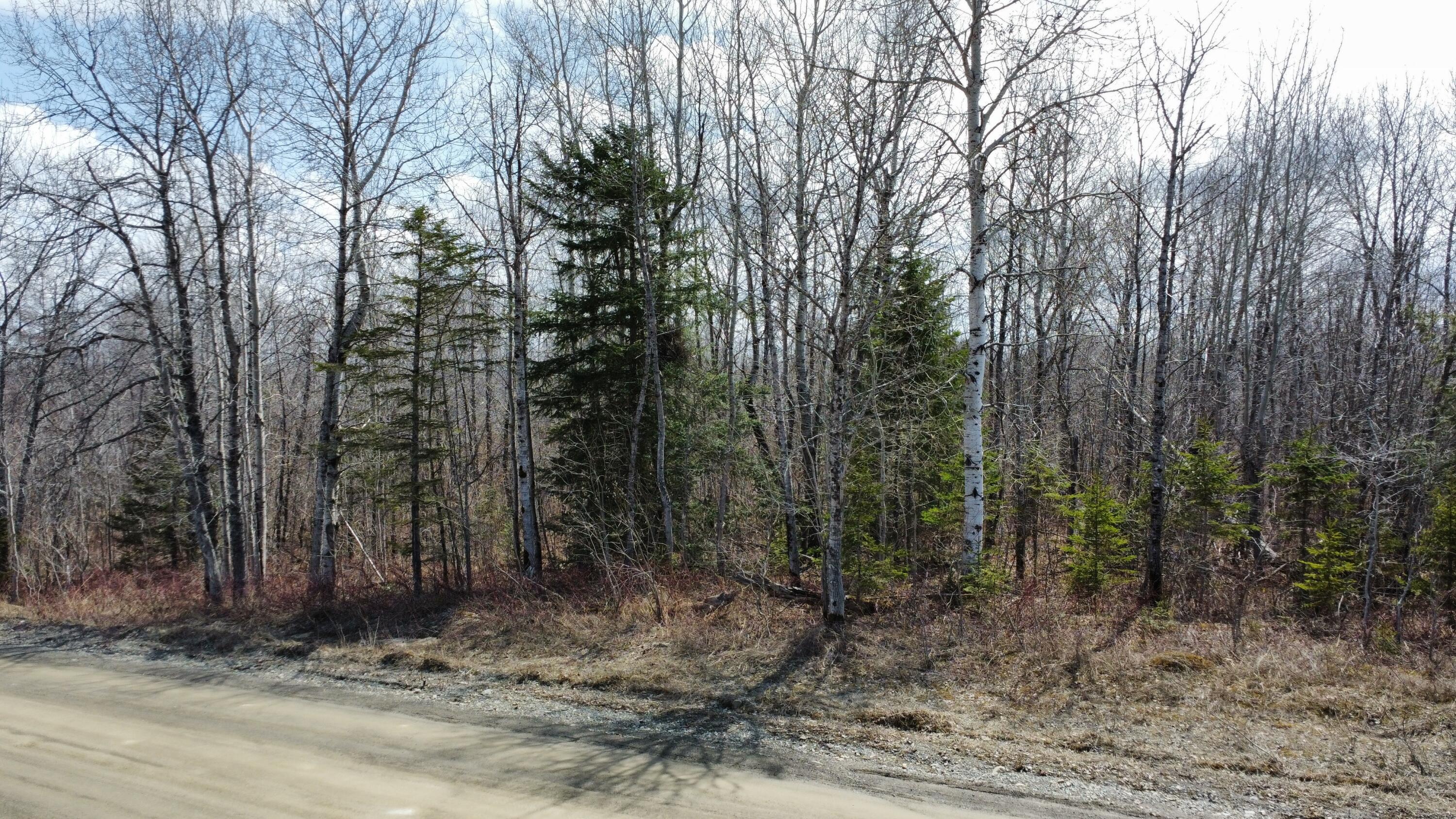 MAP6 Lot31 Mountain Road Blaine ME 04734