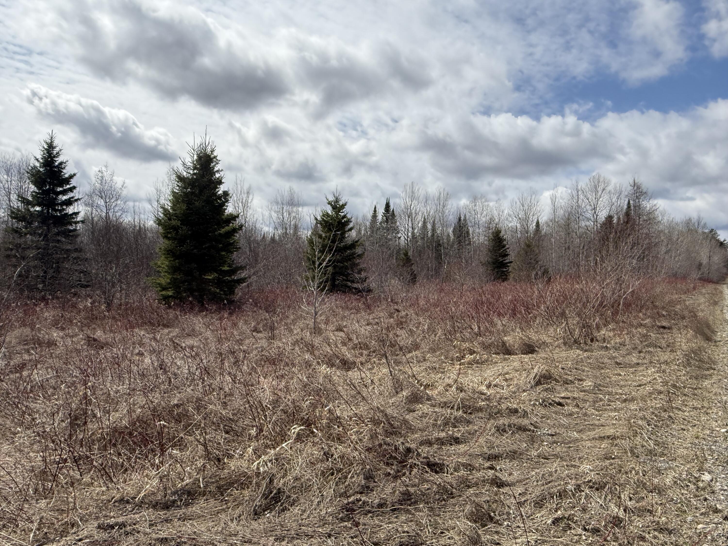 MAP6 Lot31 Mountain Road Blaine ME 04734