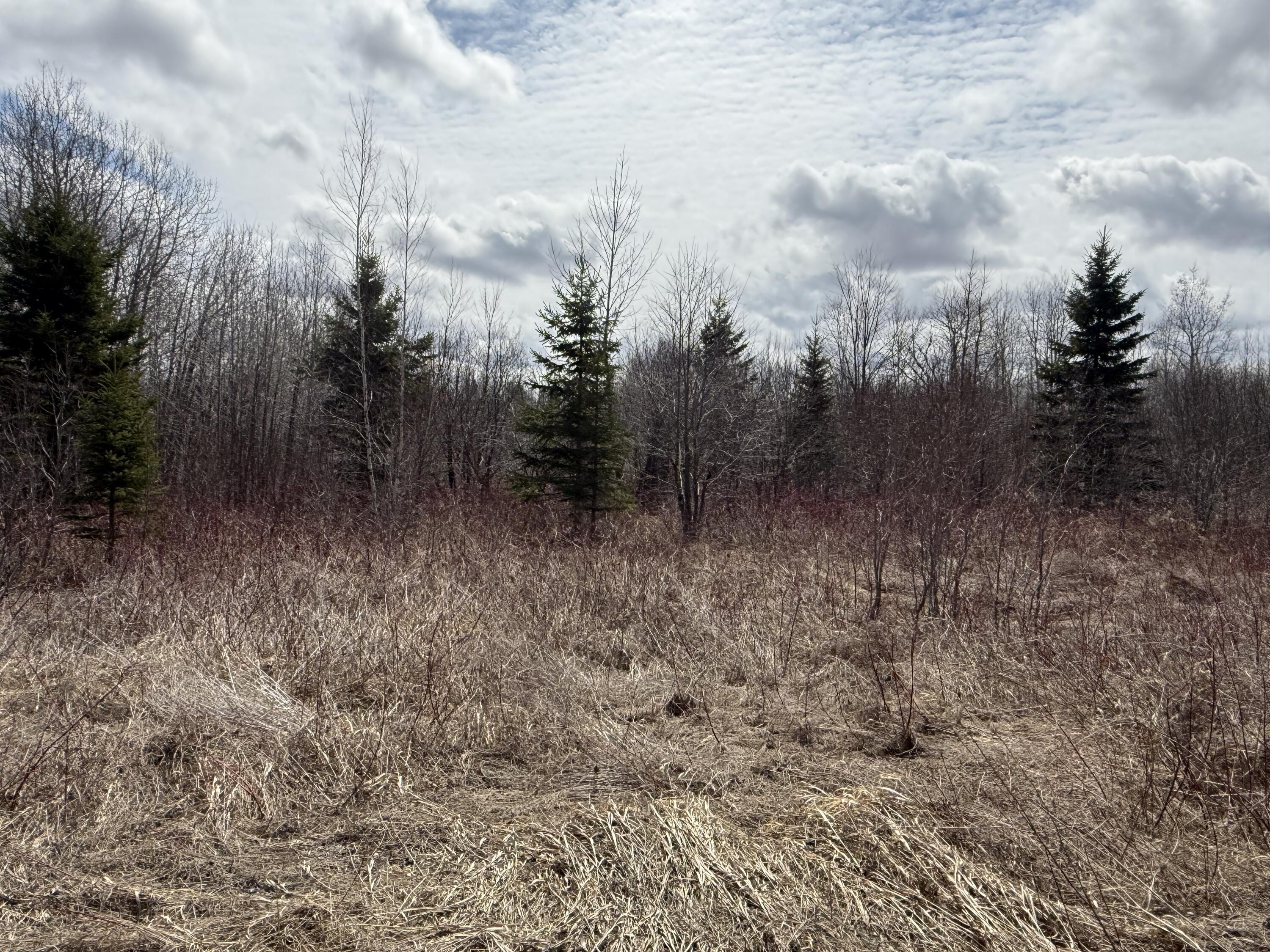 MAP6 Lot31 Mountain Road Blaine ME 04734