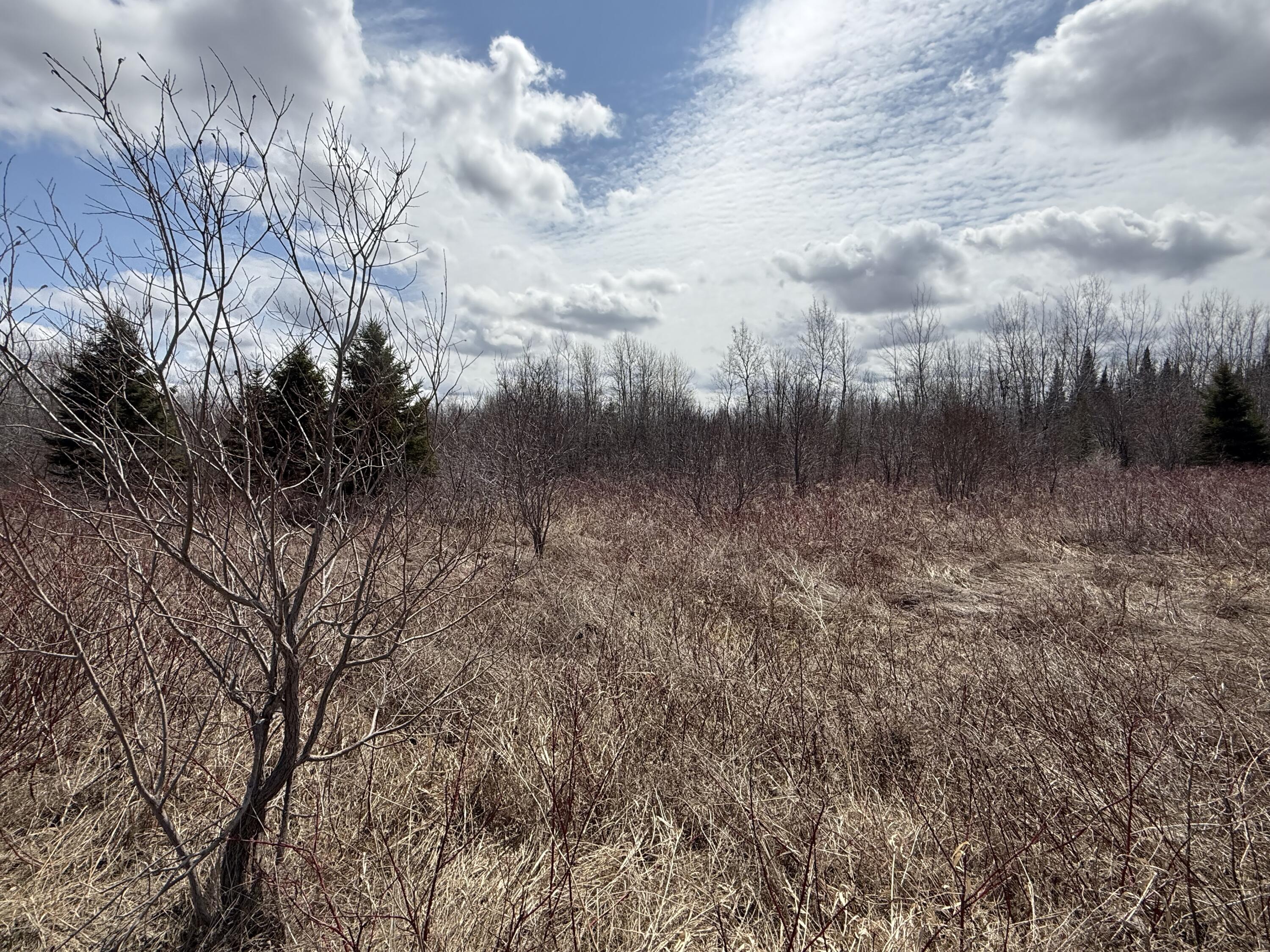 MAP6 Lot31 Mountain Road Blaine ME 04734
