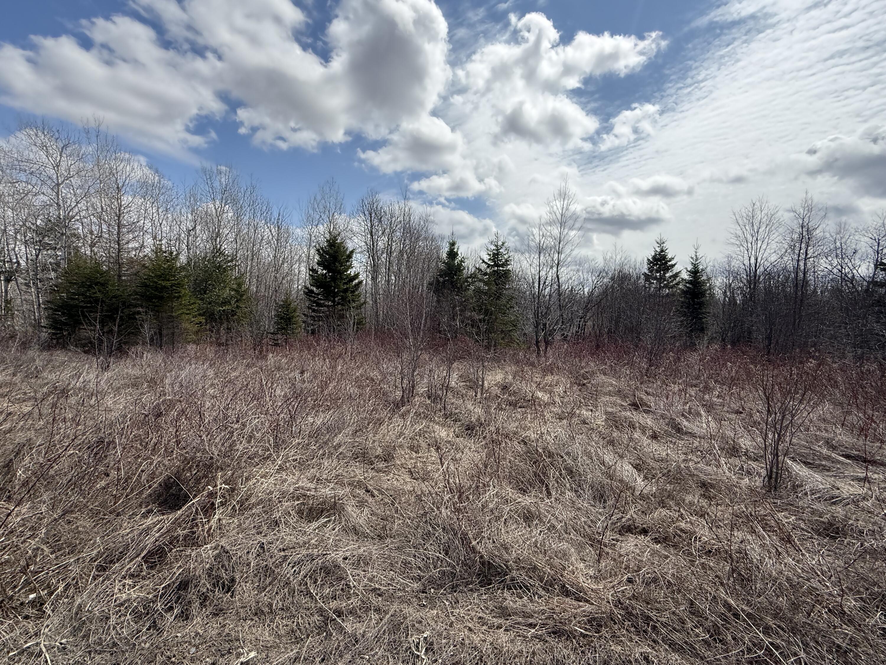MAP6 Lot31 Mountain Road Blaine ME 04734