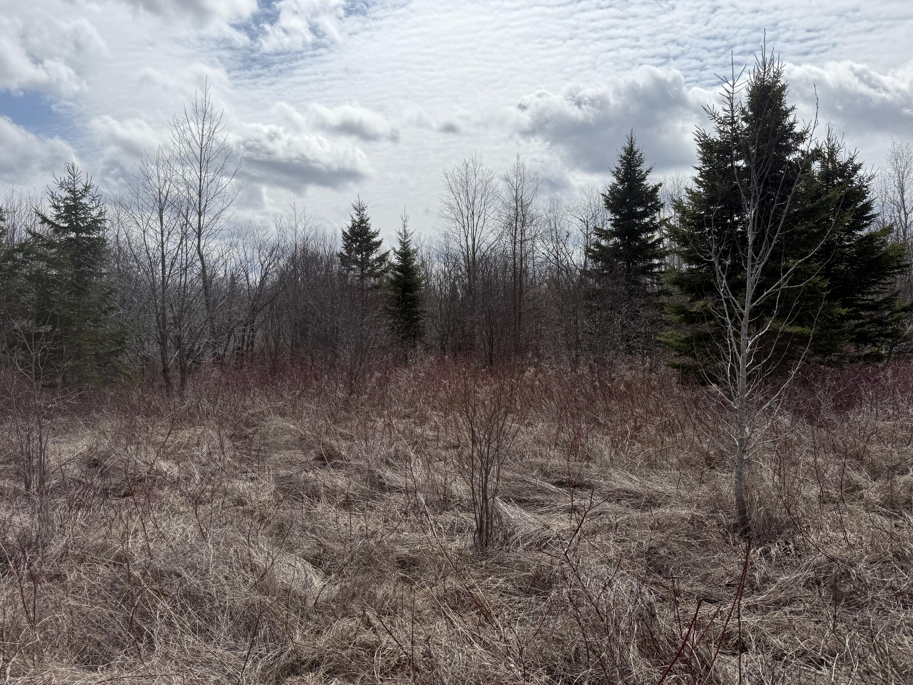 MAP6 Lot31 Mountain Road Blaine ME 04734