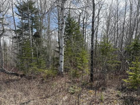 Map6 Lot31 Mountain Road Blaine ME 04734
