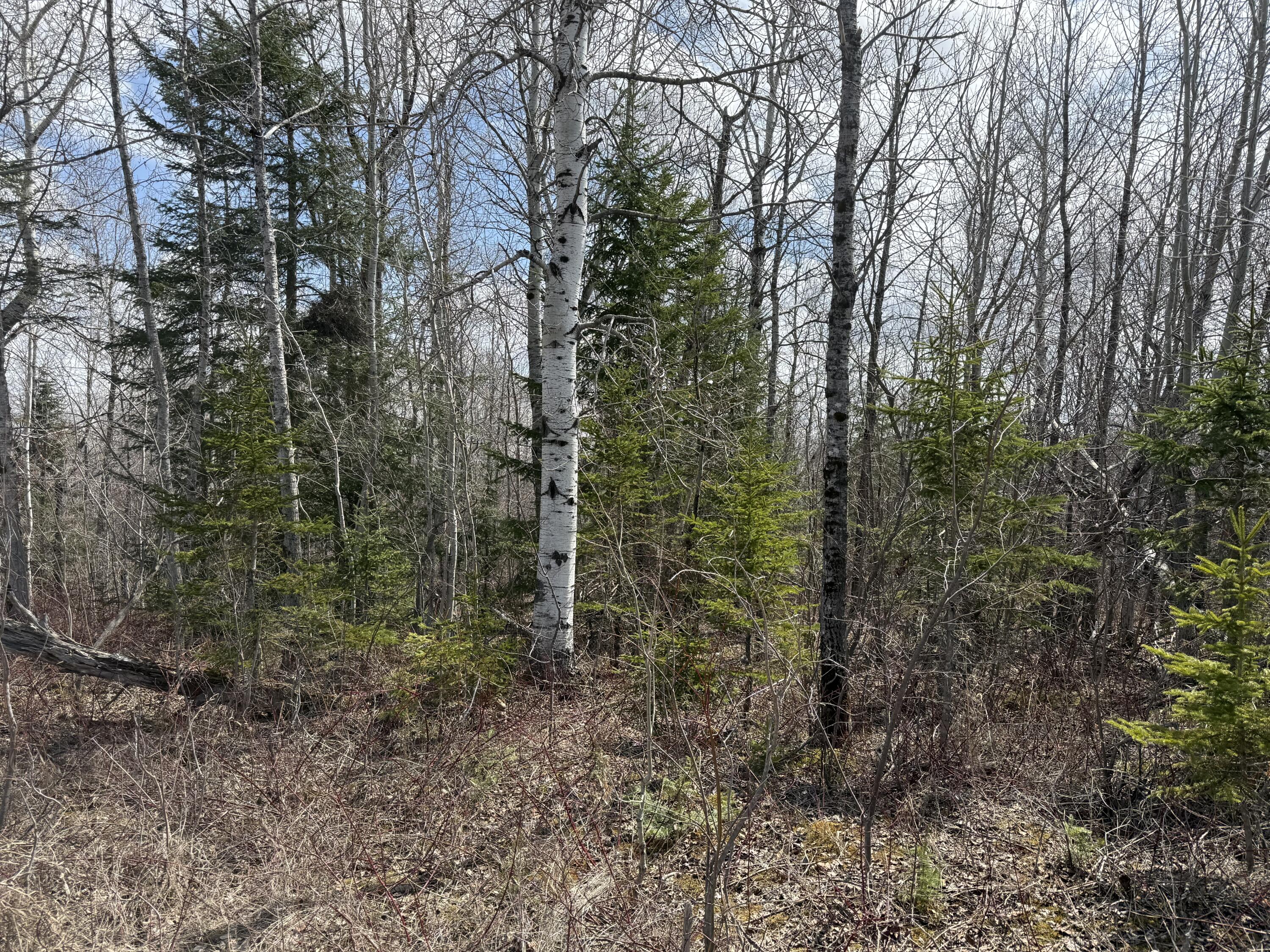 MAP6 Lot31 Mountain Road Blaine ME 04734
