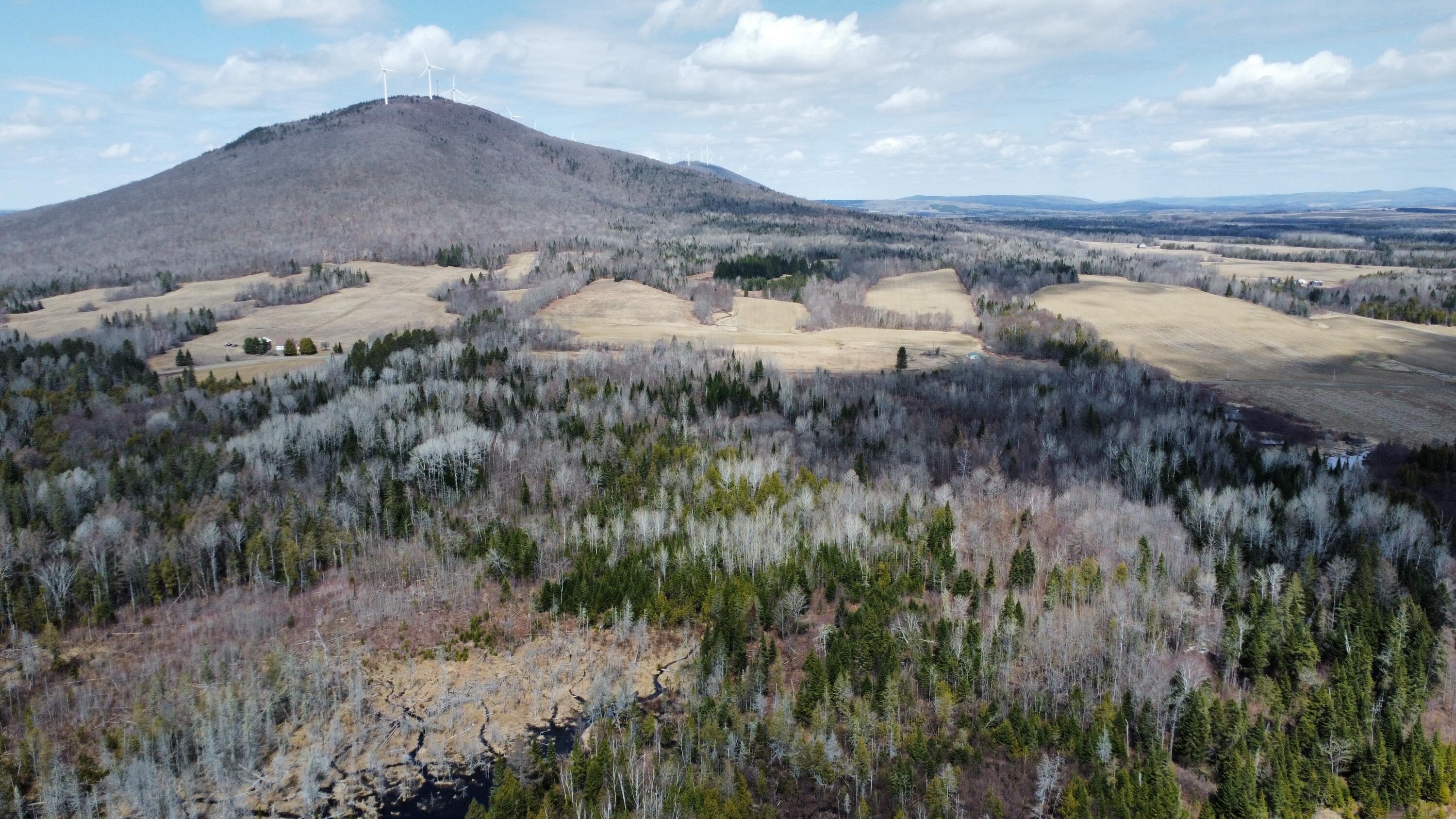 MAP6 Lot31 Mountain Road Blaine ME 04734