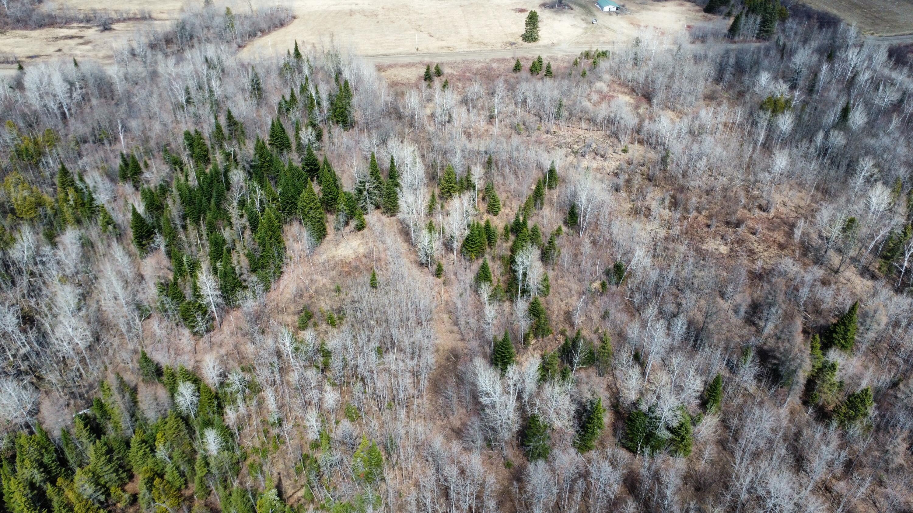 MAP6 Lot31 Mountain Road Blaine ME 04734
