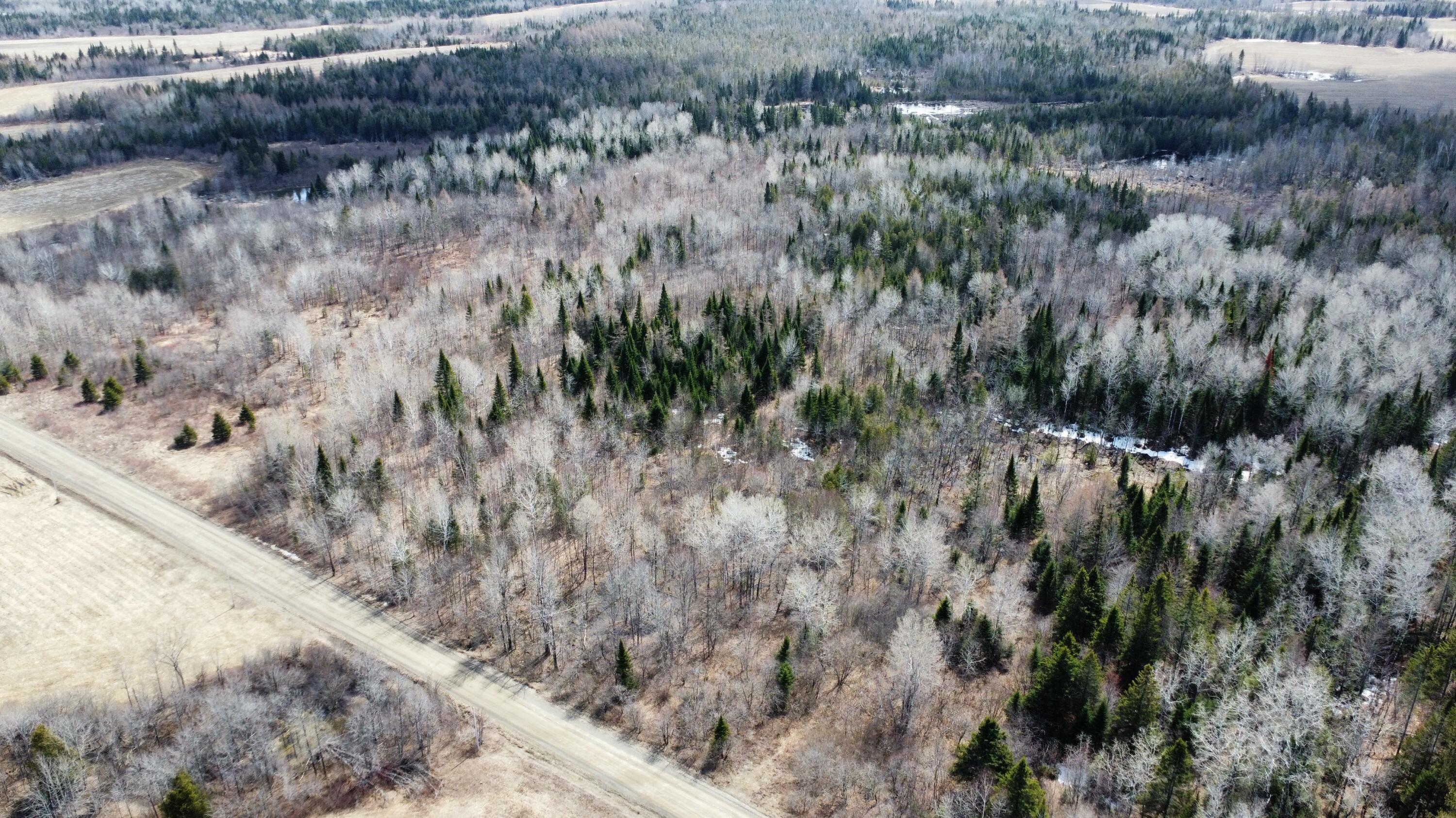 MAP6 Lot31 Mountain Road Blaine ME 04734