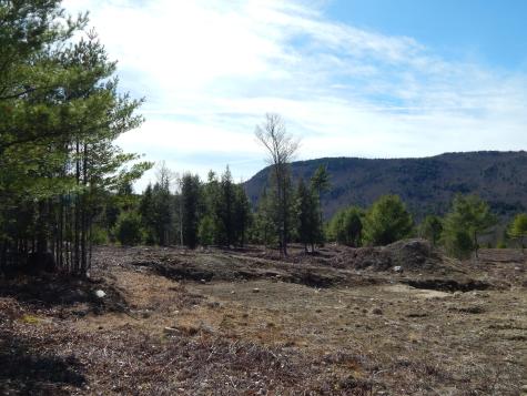 Lot 11 Second Street Bethel ME 04217
