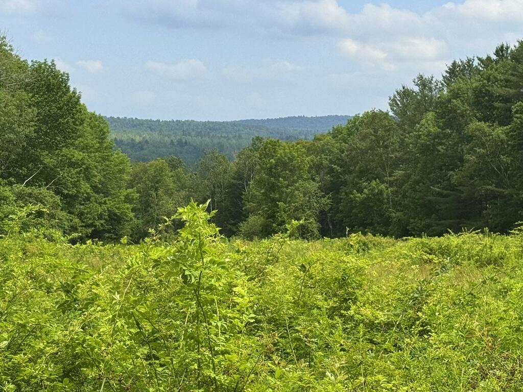 Lot 68 E Stinchfield Hill Road Chesterville ME 04938