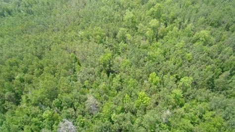 Tbd Trafton Road Parkman ME 04443