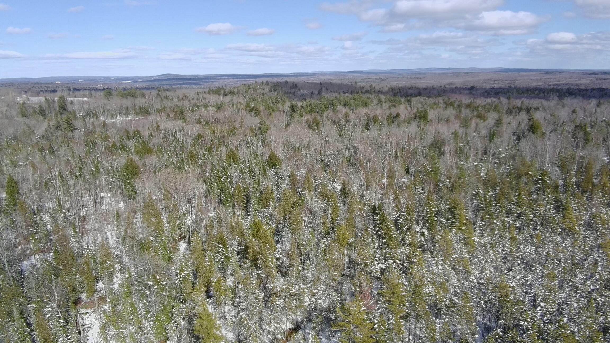 Tbd Trafton Road Parkman ME 04443