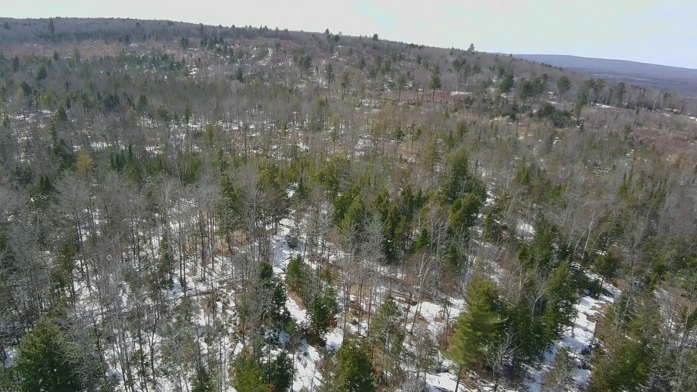 Tbd Trafton Road Parkman ME 04443