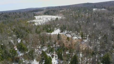 Tbd Trafton Road Parkman ME 04443
