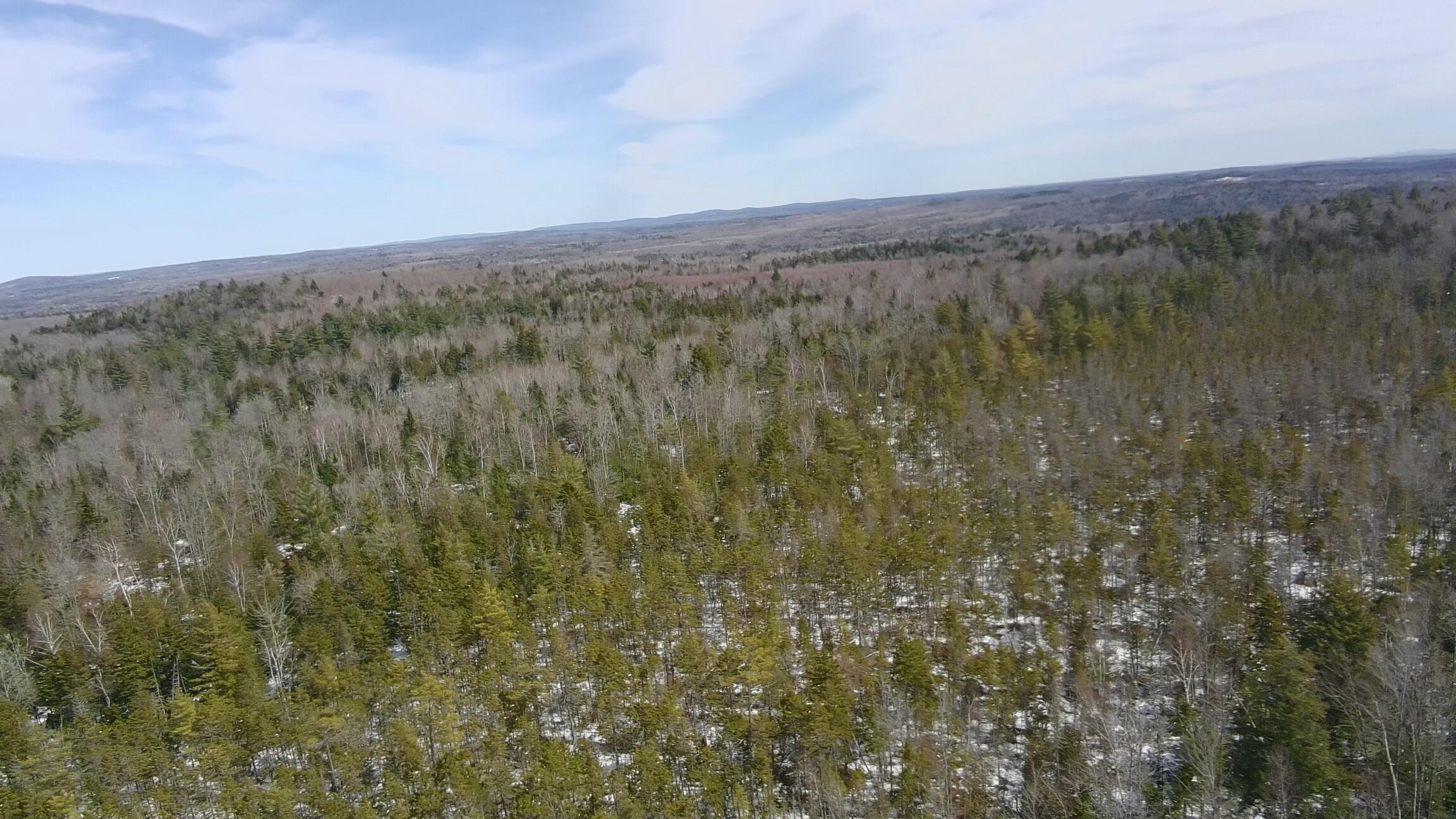 Tbd Trafton Road Parkman ME 04443