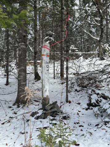 Tbd Trafton Road Parkman ME 04443