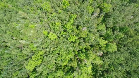 Tbd Trafton Road Parkman ME 04443