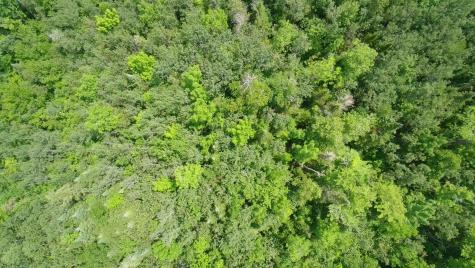 Tbd Trafton Road Parkman ME 04443