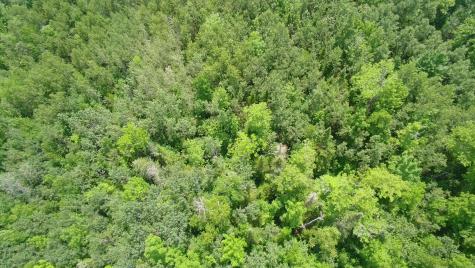 Tbd Trafton Road Parkman ME 04443