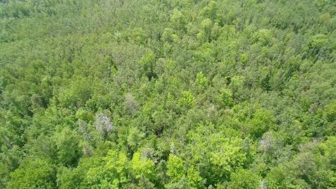 Tbd Trafton Road Parkman ME 04443