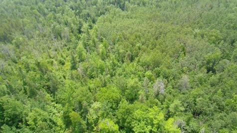 Tbd Trafton Road Parkman ME 04443