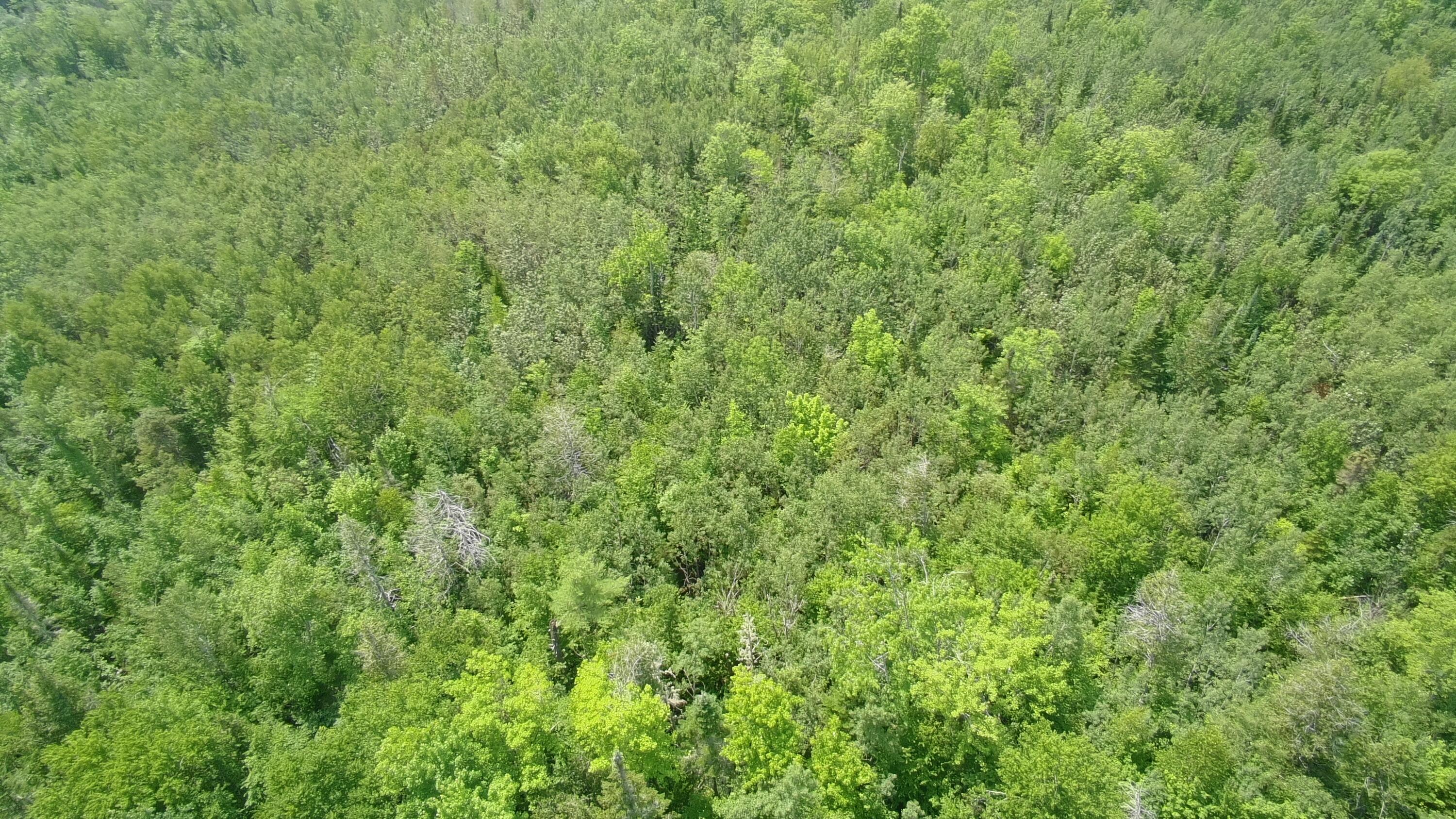 Tbd Trafton Road Parkman ME 04443