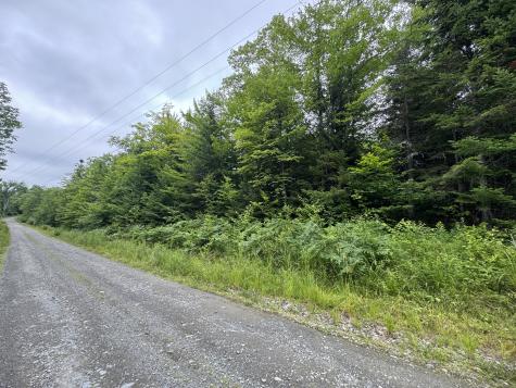 Tbd Trafton Road Parkman ME 04443