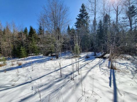 0 Northfield Road Northfield ME 04654