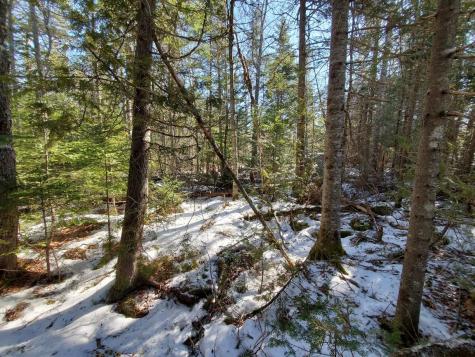 0 Northfield Road Northfield ME 04654