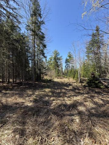 Lot 016-01 142 Old Fisher Rd Road Holden ME 04429