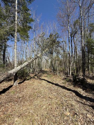 Lot 016-01 142 Old Fisher Rd Road Holden ME 04429