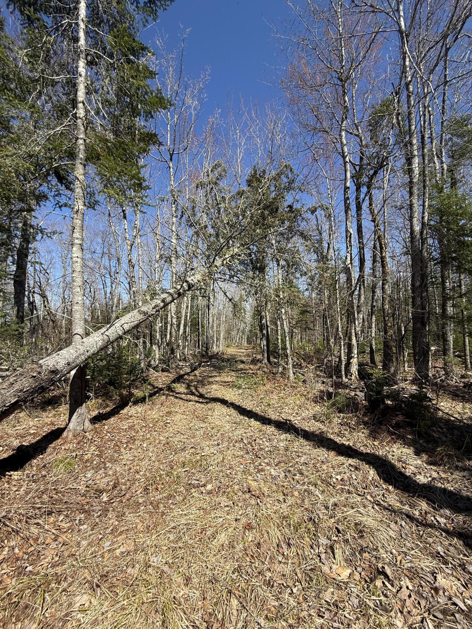 Lot 016-01 142 Old Fisher Rd Road Holden ME 04429