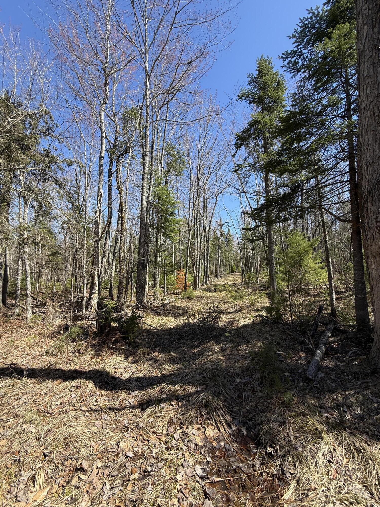 Lot 016-01 142 Old Fisher Rd Road Holden ME 04429