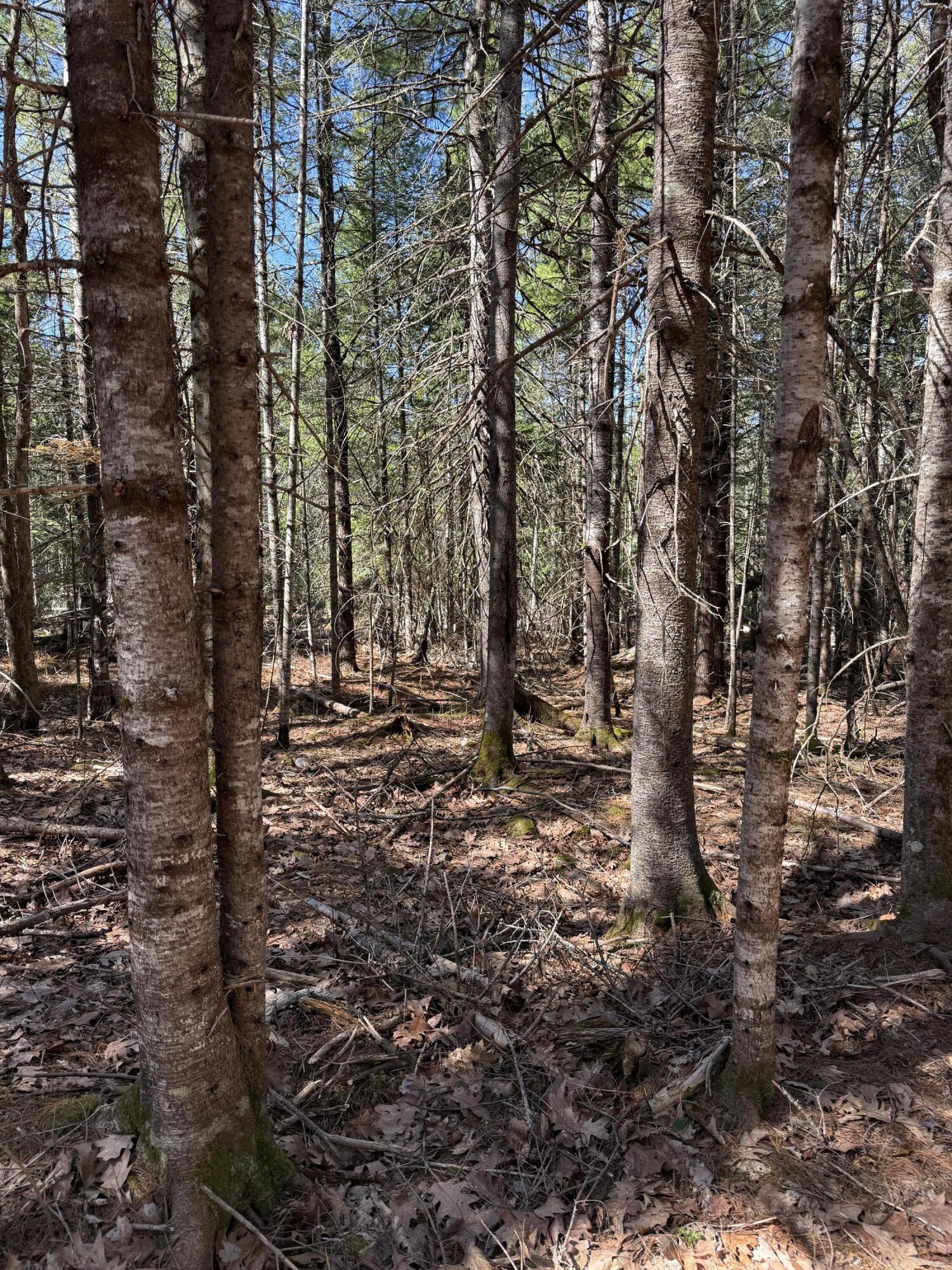 Lot 016-01 142 Old Fisher Rd Road Holden ME 04429