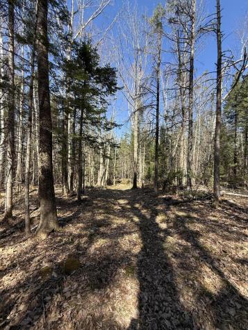 Lot 016-01 142 Old Fisher Rd Road Holden ME 04429
