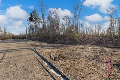 Lot 3 Pine Hill Road Palermo ME 04354