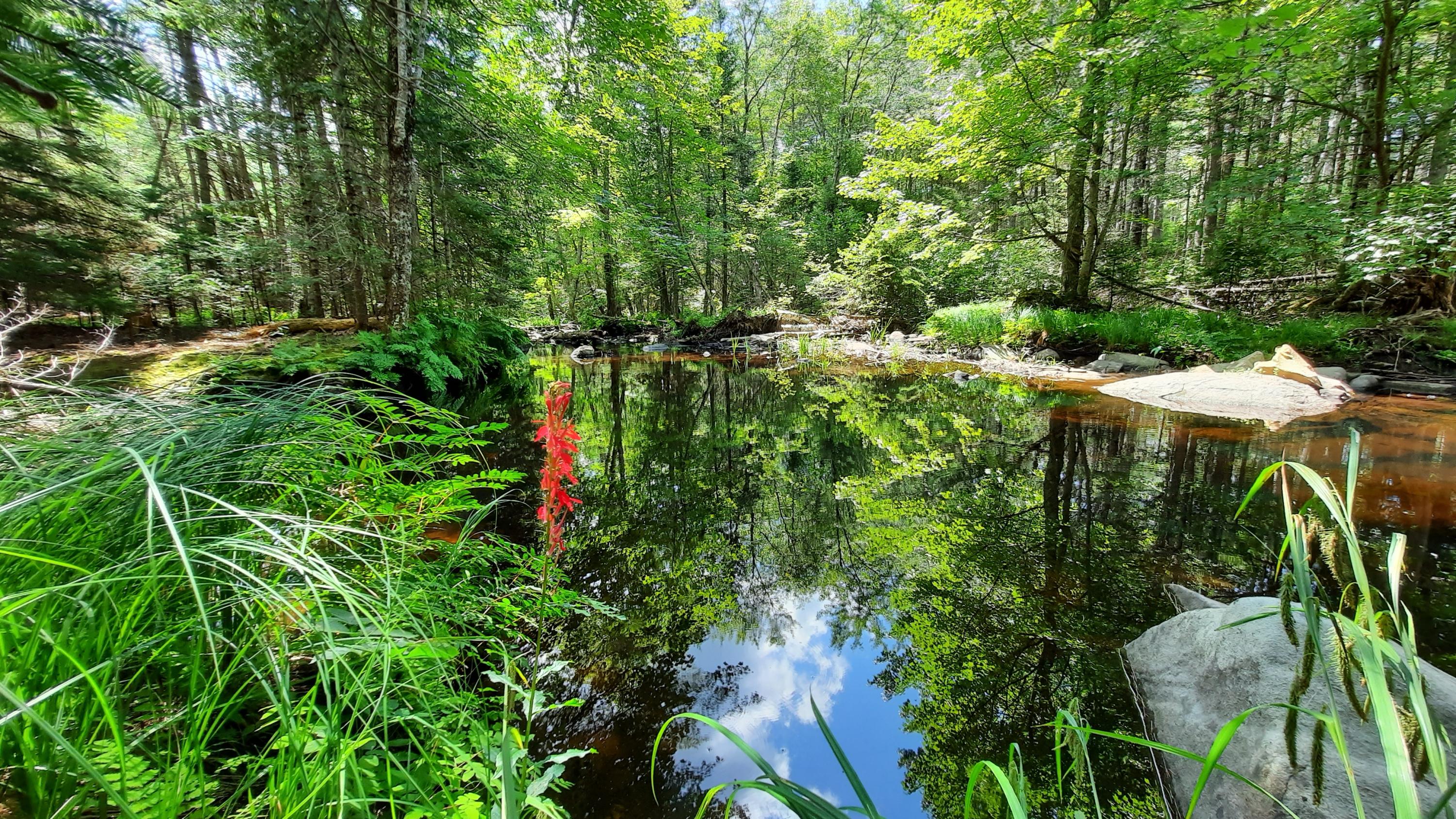 M30,l16 N Cobbtown Road Lincolnville 1464807 Maine Real Estate Experts